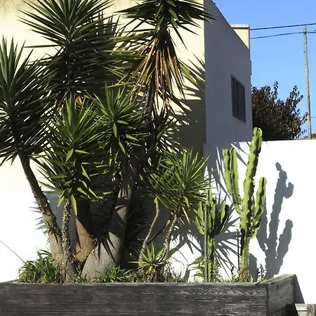 Atlantic Golden House *